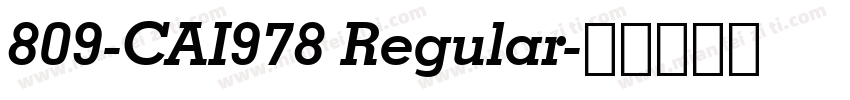 809-CAI978 Regular字体转换